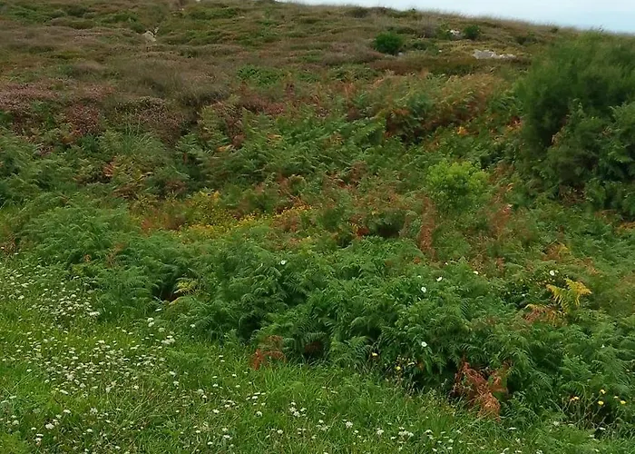 Kemping Geis House *