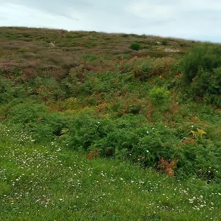 Campingplads Geis House *